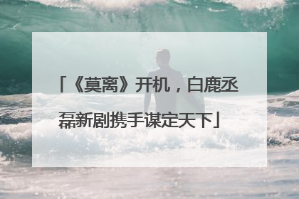 《莫离》开机，白鹿丞磊新剧携手谋定天下