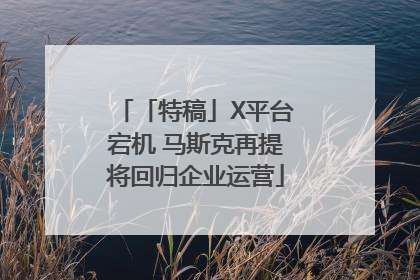 「特稿」X平台宕机 马斯克再提将回归企业运营