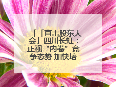 「直击股东大会」四川长虹：正视“内卷”竞争态势 加快培育发展新动能