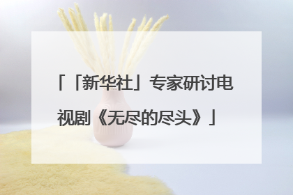 「新华社」专家研讨电视剧《无尽的尽头》
