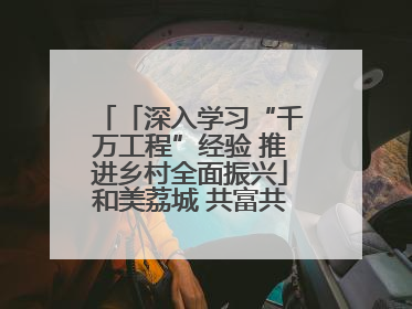 「深入学习“千万工程”经验 推进乡村全面振兴」和美荔城 共富共美 荔城区扎实推进乡村振兴工作