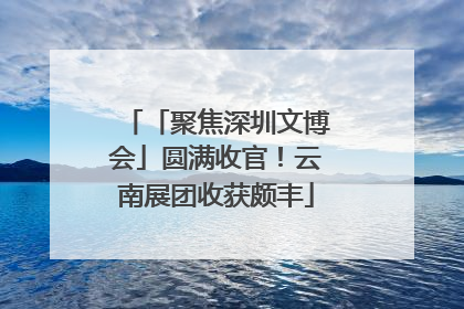 「聚焦深圳文博会」圆满收官！云南展团收获颇丰