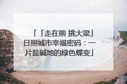 「走在前 挑大梁」日照城市幸福密码：一片盐碱地的绿色蝶变