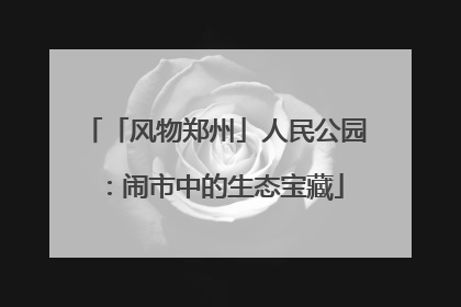 「风物郑州」人民公园：闹市中的生态宝藏
