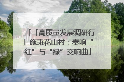 「高质量发展调研行」施秉花山村：奏响“红”与“绿”交响曲