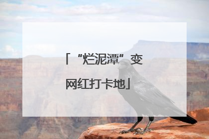 “烂泥潭”变网红打卡地