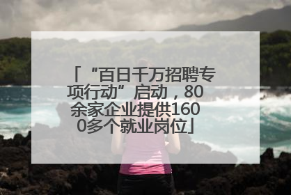 “百日千万招聘专项行动”启动，80余家企业提供1600多个就业岗位