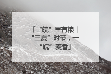 “皖”里有粮｜“三夏”时节，一“皖”麦香