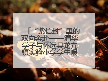 “紫信封”里的双向奔赴——清华学子与怀远县龙亢镇实验小学学生暖心书信之约