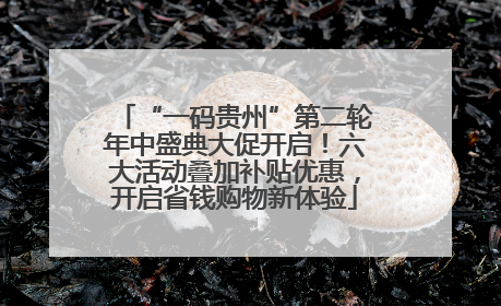 “一码贵州”第二轮年中盛典大促开启！六大活动叠加补贴优惠，开启省钱购物新体验