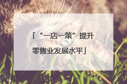 “一店一策”提升零售业发展水平
