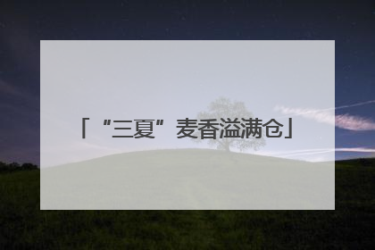 “三夏”麦香溢满仓