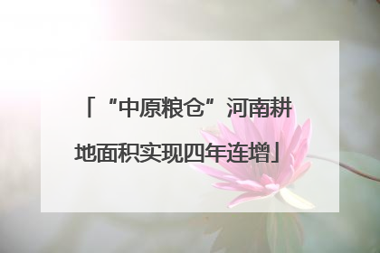 “中原粮仓”河南耕地面积实现四年连增