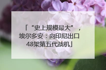 “史上规模最大”，埃尔多安：向印尼出口48架第五代战机
