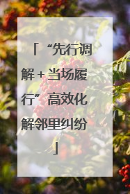 “先行调解＋当场履行”高效化解邻里纠纷
