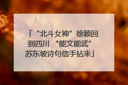 “北斗女神”徐颖回到四川 “能文能武”苏东坡诗句信手拈来