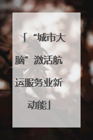 “城市大脑”激活航运服务业新动能