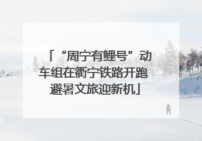“周宁有鲤号”动车组在衢宁铁路开跑 避暑文旅迎新机
