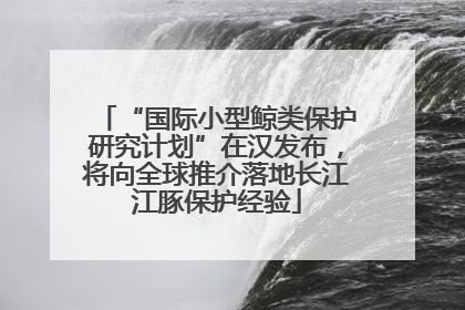 “国际小型鲸类保护研究计划”在汉发布，将向全球推介落地长江江豚保护经验