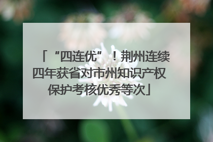 “四连优”！荆州连续四年获省对市州知识产权保护考核优秀等次
