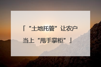 “土地托管”让农户当上“甩手掌柜”