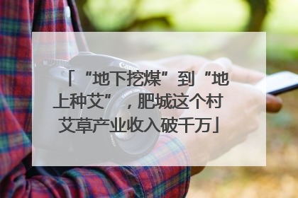 “地下挖煤”到“地上种艾”，肥城这个村艾草产业收入破千万