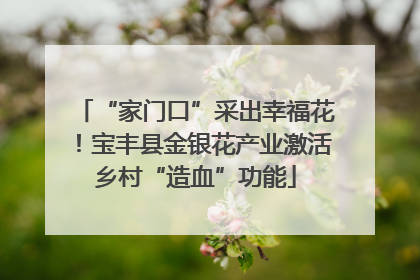 “家门口”采出幸福花！宝丰县金银花产业激活乡村“造血”功能