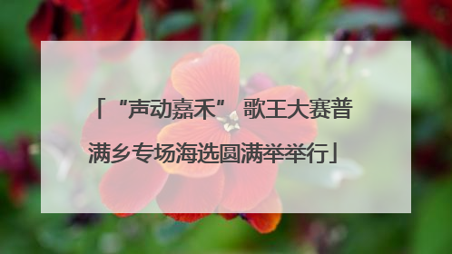 “声动嘉禾” 歌王大赛普满乡专场海选圆满举举行