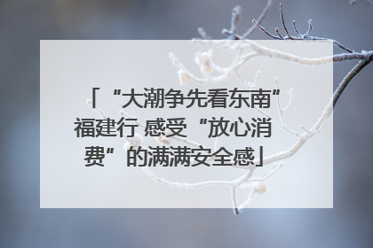 “大潮争先看东南”福建行 感受“放心消费”的满满安全感