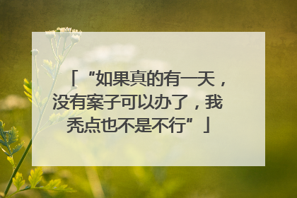 “如果真的有一天，没有案子可以办了，我秃点也不是不行”