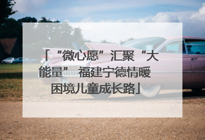 “微心愿”汇聚“大能量” 福建宁德情暖困境儿童成长路