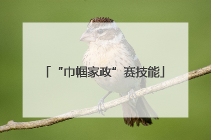 “巾帼家政”赛技能