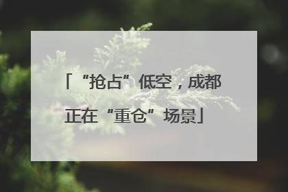 “抢占”低空，成都正在“重仓”场景
