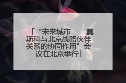 “未来城市——莫斯科与北京战略伙伴关系的协同作用”会议在北京举行