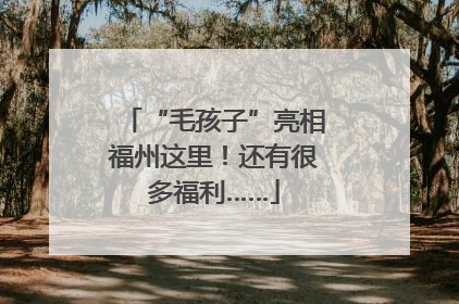 “毛孩子”亮相福州这里！还有很多福利……