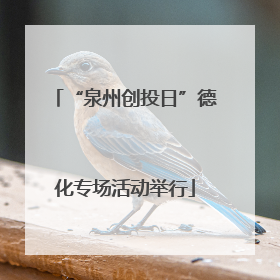 “泉州创投日”德化专场活动举行