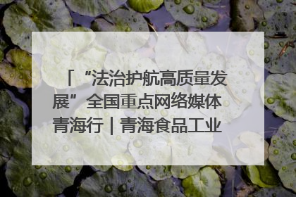 “法治护航高质量发展”全国重点网络媒体青海行｜青海食品工业协会：架起“青字号”美食的产业化桥梁