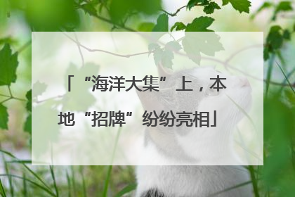 “海洋大集”上，本地“招牌”纷纷亮相