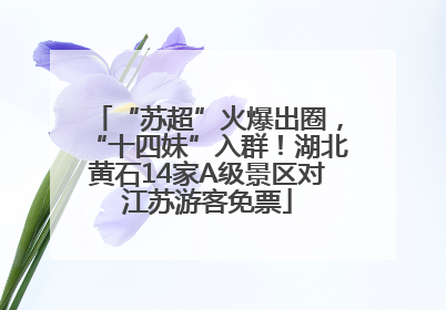 “苏超”火爆出圈，“十四妹”入群！湖北黄石14家A级景区对江苏游客免票