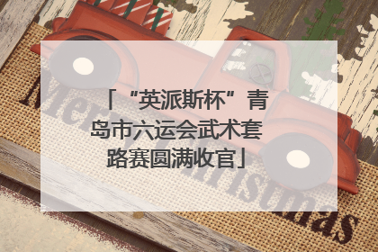 “英派斯杯”青岛市六运会武术套路赛圆满收官