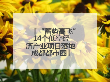 “蓄势高飞” 14个低空经济产业项目落地成都都市圈