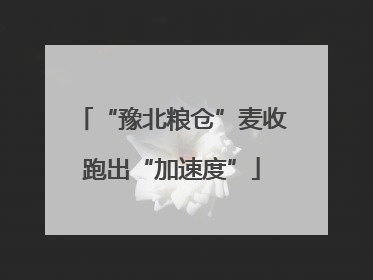 “豫北粮仓”麦收跑出“加速度”