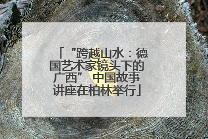 “跨越山水：德国艺术家镜头下的广西” 中国故事讲座在柏林举行