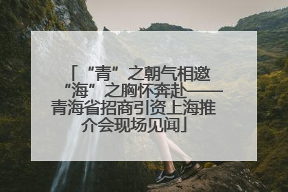 “青”之朝气相邀 “海”之胸怀奔赴——青海省招商引资上海推介会现场见闻