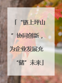 “链上坪山”协同创新，为企业发展充“储”未来