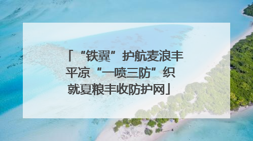 “铁翼”护航麦浪丰 平凉“一喷三防”织就夏粮丰收防护网
