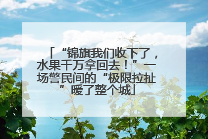 “锦旗我们收下了，水果千万拿回去！”一场警民间的“极限拉扯”暖了整个城