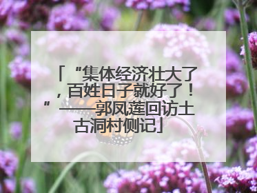 “集体经济壮大了，百姓日子就好了！”——郭凤莲回访土古洞村侧记