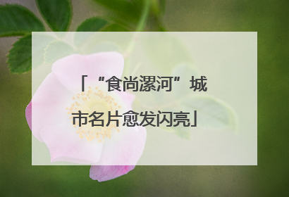“食尚漯河”城市名片愈发闪亮