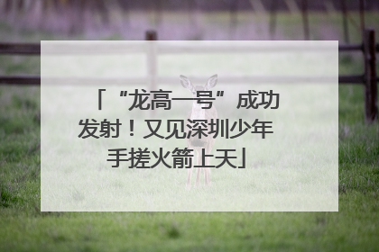 “龙高一号”成功发射！又见深圳少年手搓火箭上天